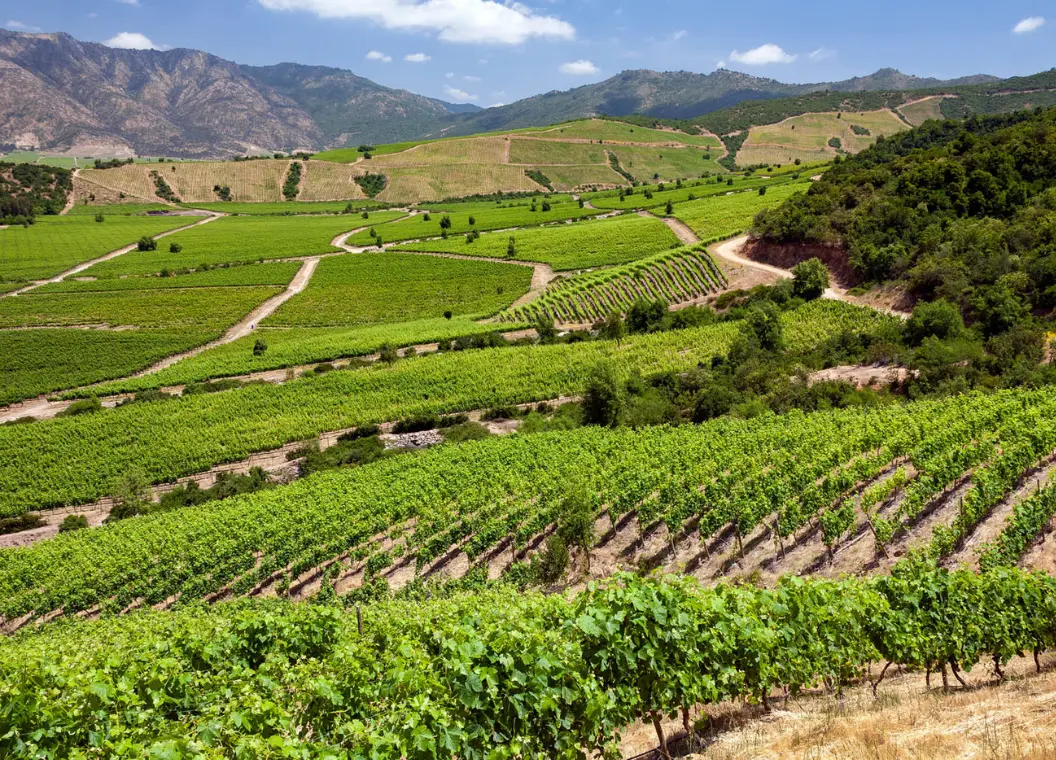 Qué hacer en Placilla